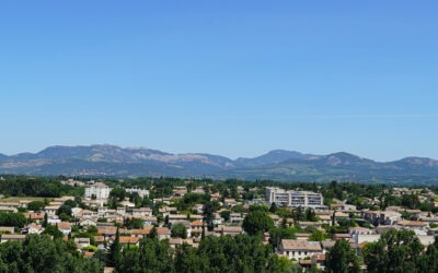 Planter la ville de demain : une histoire d’ombre, de fraîcheur… et de respiration